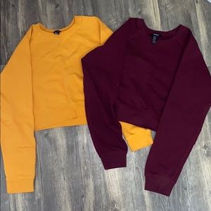 Set of 2 cropped sweatshirts.